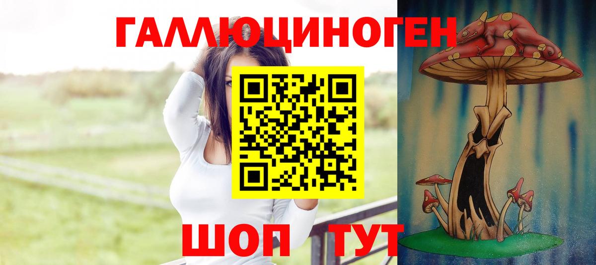 купить  цена  Вход с VPN  Губаха  Псилоцибиновые грибы мицелий 